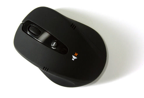 mouse