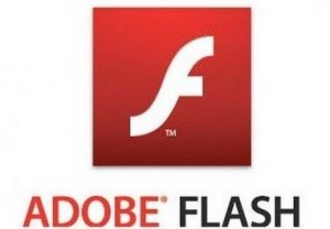 Flash (Adobe Flash) nədir?,Fləş nədir
