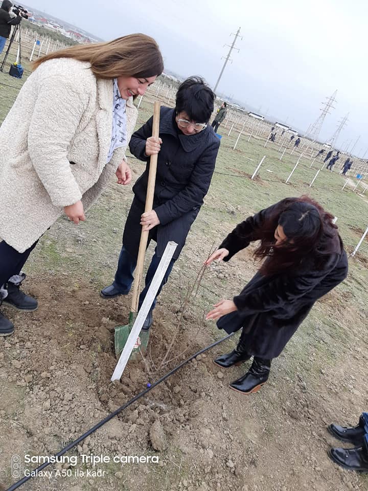 8 №-li BPL-nin kollektivi ağac əkmə aksiyasında