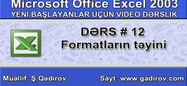 Excel 2003-də formatların təyini