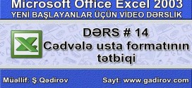 Excel 2003-də usta formatı