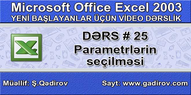 Excel 2003-də parametrlərin seçilməsi