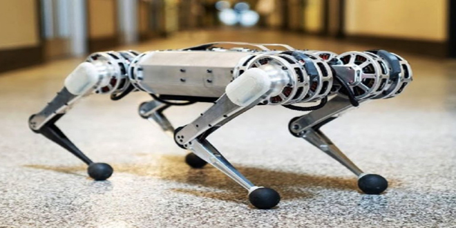 Ən sürətli robot-gepard