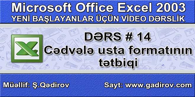 Excel 2003-də usta formatı