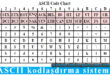 ASCII kodlaşdırma sistemi