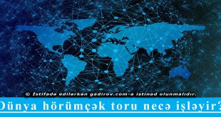 Dünya hörümçək toru necə işləyir?