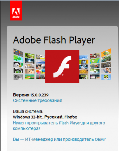 Adobe Flash Player proqramının yüklənməsi