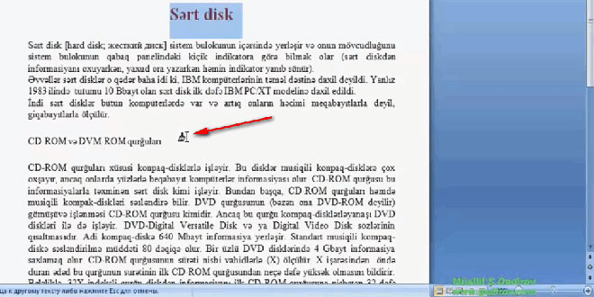 Word 2007 proqramında nümunəyə görə format