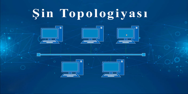 Lokal şəbəkə topologiyalarının növləri