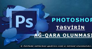 Təsvirin ağ-qara olunması