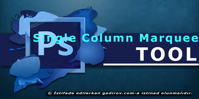 Single Column Marquee Tool aləti 