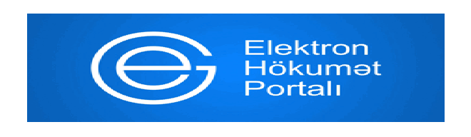 Elektron hökumət haqqında 