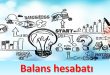 Balans hesabatı haqqında