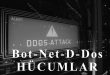 Bot-Net-D-Dos hücumlar