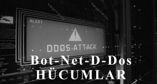 Bot-Net-D-Dos hücumlar