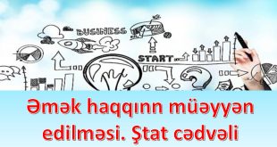 Əmək haqqınn müəyyən edilməsi. Ştat cədvəli