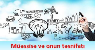 Müəssisə və onun təsnifatı