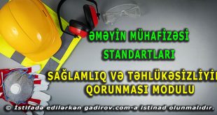 Əməyin mühafizəsi standartları