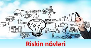 Riskin növləri haqqında