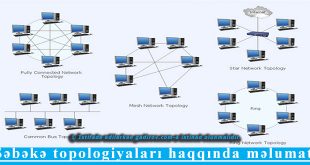 Şəbəkə topologiyaları haqqında məlumat