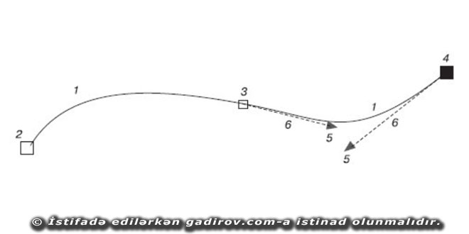 Corel Draw proqramında xətlərin çəkilməsi