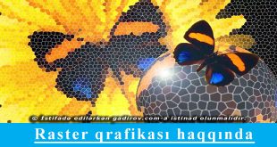 Raster qrafikası haqqında