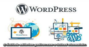 Wordpress Bloqun/videobloqun hazırlanması