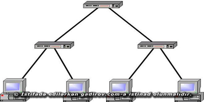 Ağacvari və qarışıq topologiya