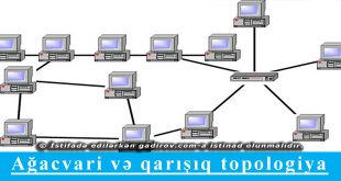 Ağacvari və qarışıq topologiya