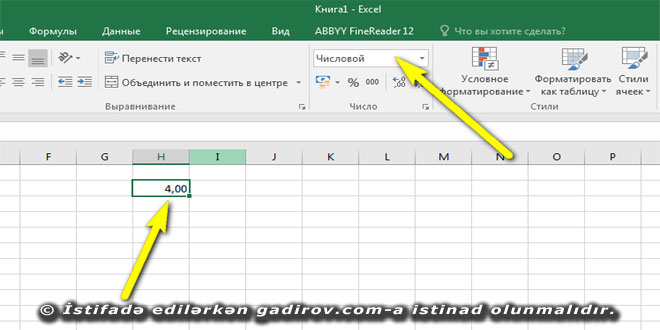 Excel 2016 proqramında verilənlərin formatı