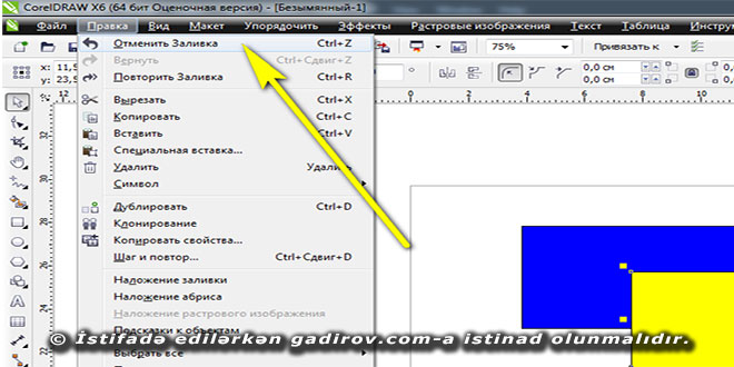 Corel Draw proqramında nəticələrin ləğvi və bərpası