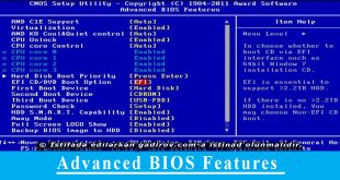 Advanced BIOS Features