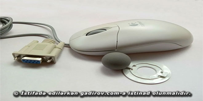 Siçan (mouse) haqqında məlumat