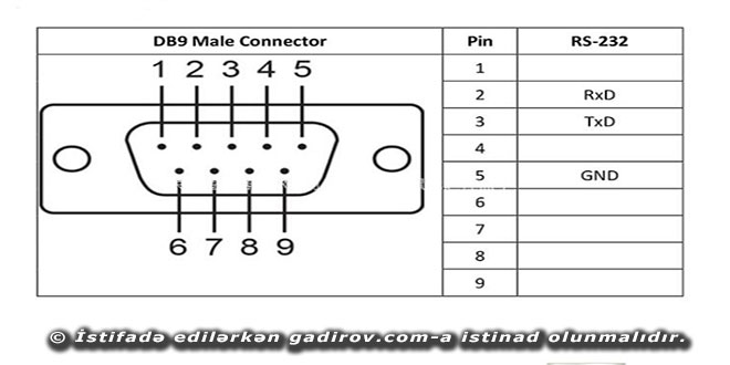 Siçan (mouse) haqqında məlumat