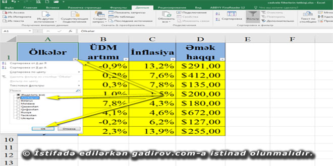 Excel 2016 proqramında filterlərdən istifadə