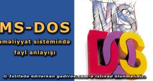 MS-DOS əməliyyat sistemində fayl anlayışı