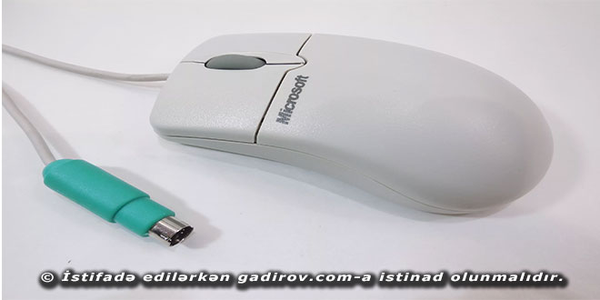 Siçan (mouse) haqqında məlumat