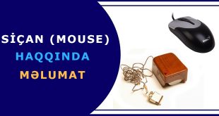 Siçan (mouse) haqqında məlumat