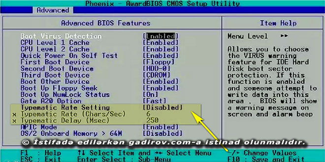 Advanced BIOS Features