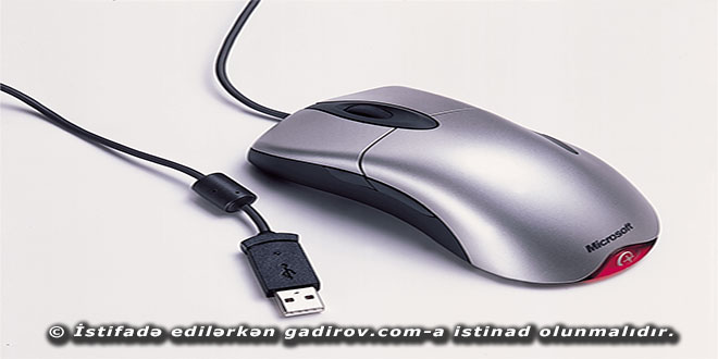 Siçan (mouse) haqqında məlumat