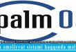 Palm əməliyyat sistemi haqqında məlumat