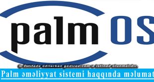 Palm əməliyyat sistemi haqqında məlumat