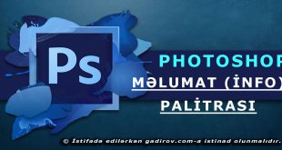 Məlumat (İnfo) palitrası haqqında