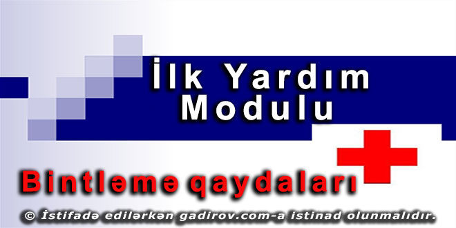 Bintləmə qaydaları