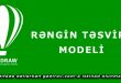 Rəngin təsviri modeli