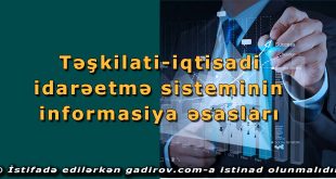 Təşkilati-iqtisadi idarəetmə sisteminin informasiya əsasları