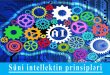 Süni intellektin prinsipləri